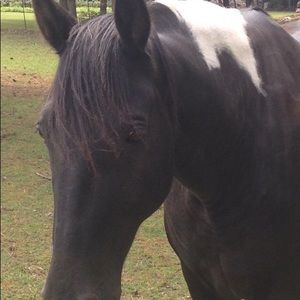 Meet your Posher, Lori